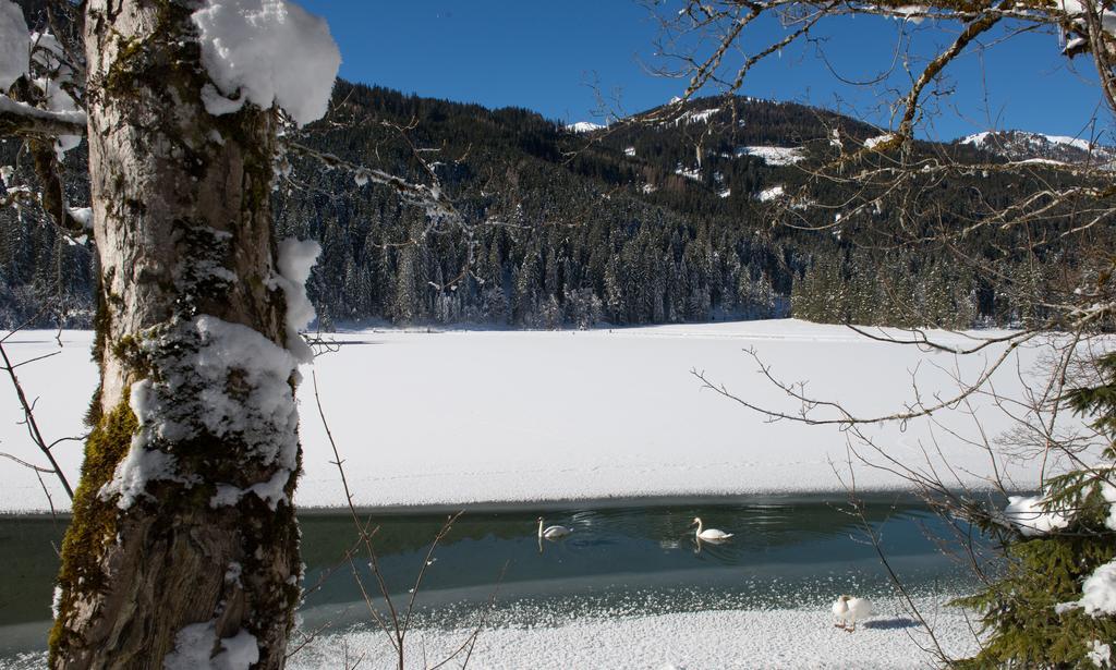 Apartmenthaus Mountainvista Kleinarl Εξωτερικό φωτογραφία